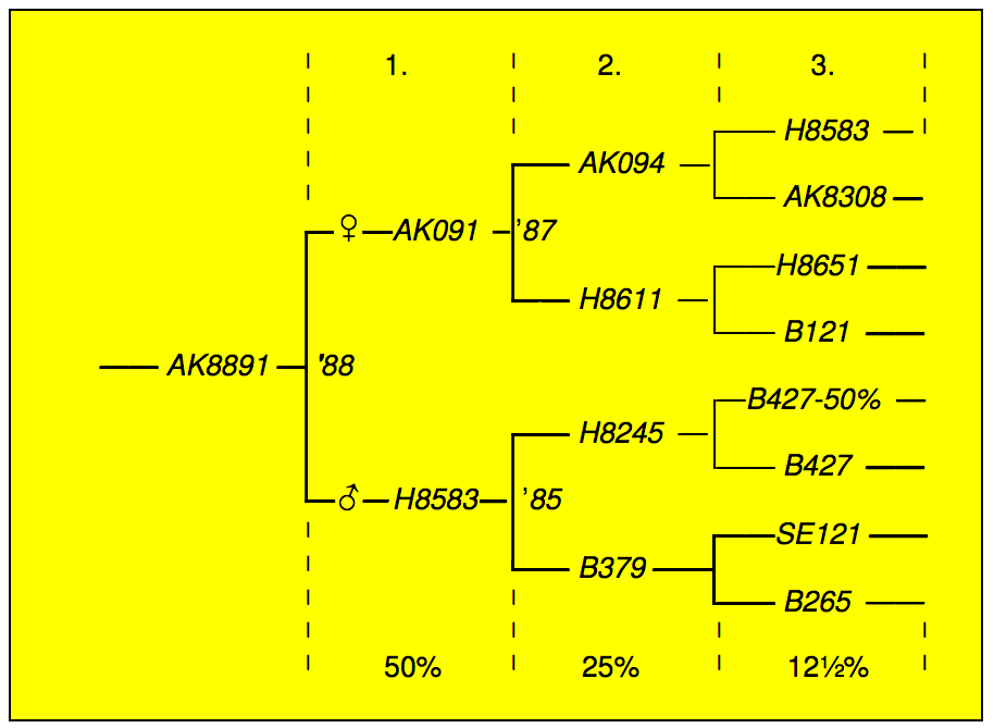 fig.7